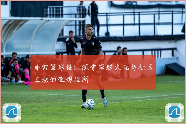 非常篮球馆：探索篮球文化与社区互动的理想场所