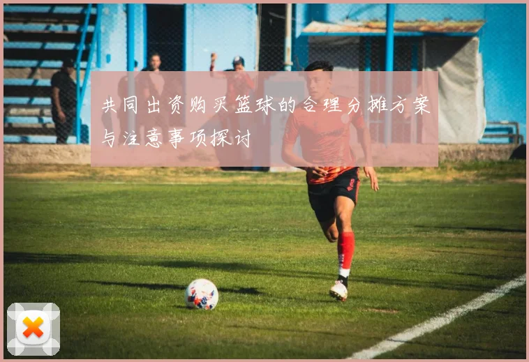 共同出资购买篮球的合理分摊方案与注意事项探讨