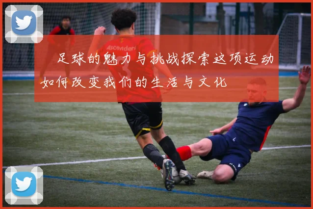 殝足球的魅力与挑战探索这项运动如何改变我们的生活与文化